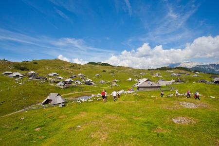 Velika planina (Vir: STO)